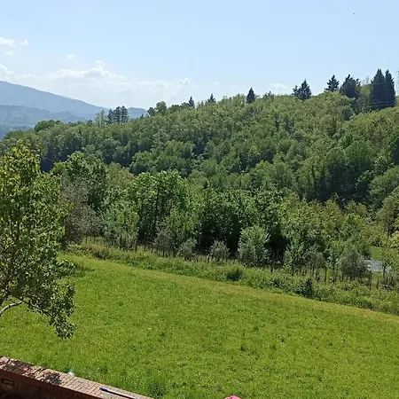 Il Glicine Rustico Garfagnino *