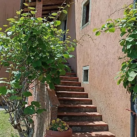 Il Glicine Rustico Garfagnino Poggio (Lucca)