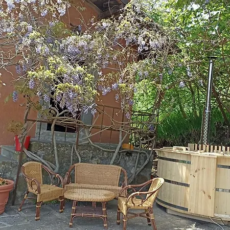 Il Glicine Rustico Garfagnino 度假居 Poggio (Lucca)