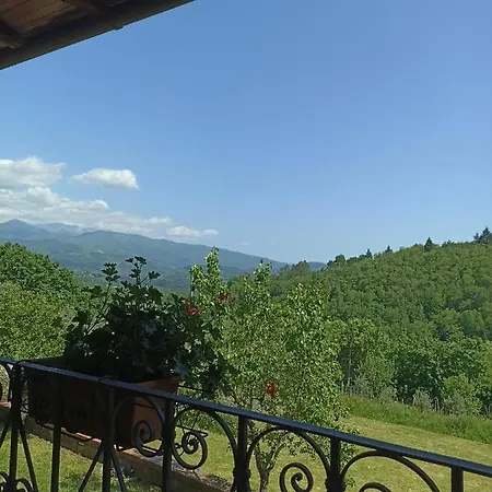 Il Glicine Rustico Garfagnino Poggio (Lucca)